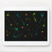 science muismat (Voorkant)