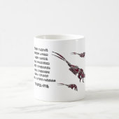 Scientific classification for the brill krill  koffiemok (Center)