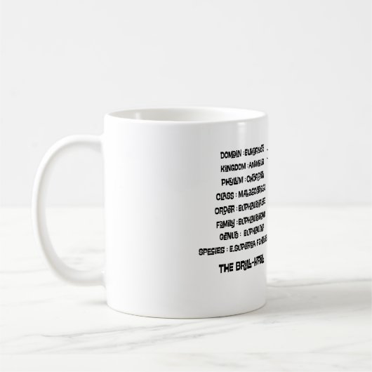 Scientific classification for the brill krill  koffiemok (Links)