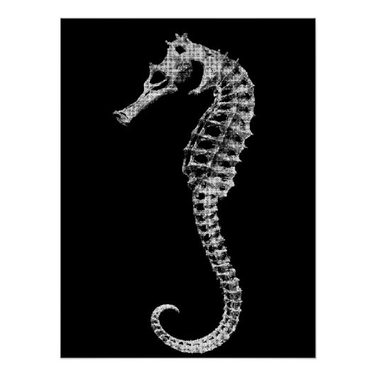 Scientific Seahorse Skeleton Poster (Voorkant)