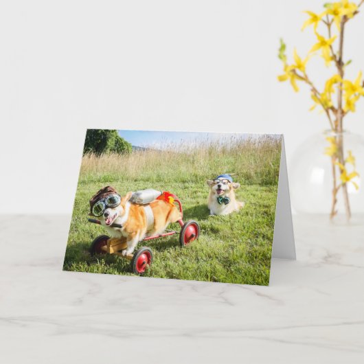 Scientist Corgis on a Hill blanco groet Kaart (Gele Bloem)