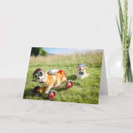Scientist Corgis on a Hill blanco groet Kaart