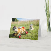 Scientist Corgis on a Hill blanco groet Kaart (Voorkant)