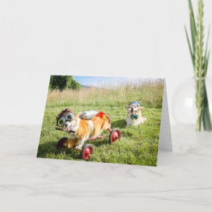 Scientist Corgis op een Hill verjaardagskaart Kaart