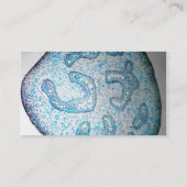 Scientist Visitekaartje (Achterkant)