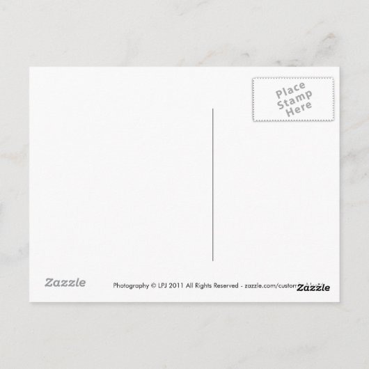 Scimitar Horned Oryx Briefkaart (Achterkant)