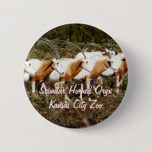 Scimitar Horned Oryx Button (Voorkant)