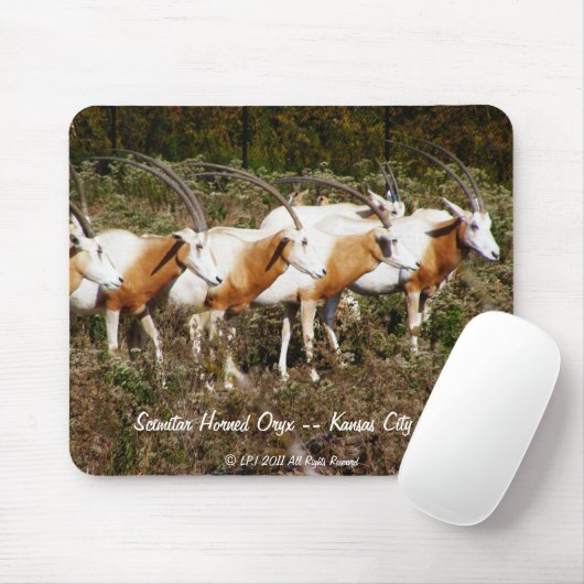 Scimitar Horned Oryx mousepad Muismat (Met muis)