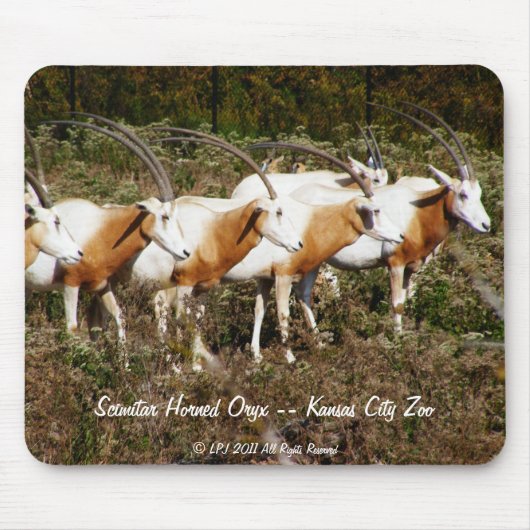 Scimitar Horned Oryx mousepad Muismat (Voorkant)