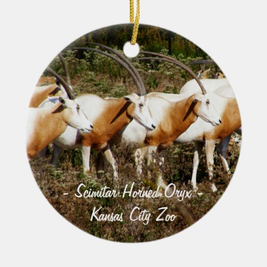 Scimitar Horned Oryx Ornament (Voorkant)
