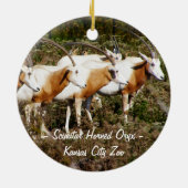 Scimitar Horned Oryx Ornament (Achterkant)