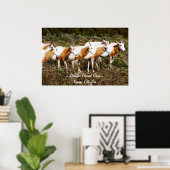 Scimitar Horned Oryx Poster Print (Thuiskantoor)