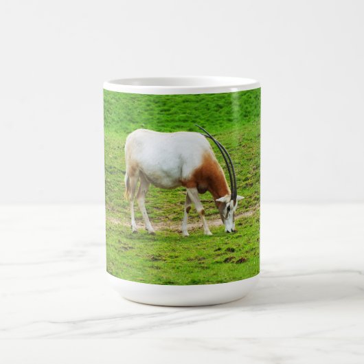 Scimitar oryx koffiemok (Center)