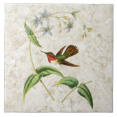 Scintillant Hummingbird Ceramic Tile Tegeltje (Voorkant)