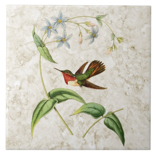 Scintillant Hummingbird Ceramic Tile Tegeltje (Voorkant)