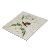 Scintillant Hummingbird Ceramic Tile Tegeltje (Zijkant)