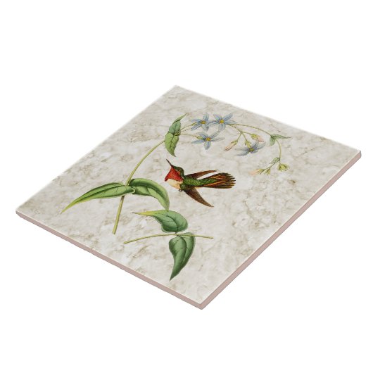 Scintillant Hummingbird Ceramic Tile Tegeltje (Zijkant)