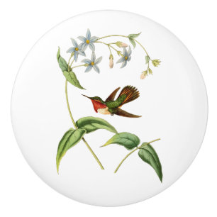 Scintillant Hummingbird Keramische Knop