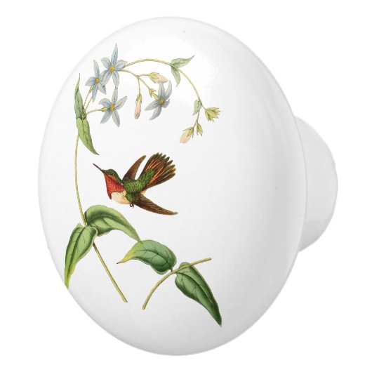 Scintillant Hummingbird Keramische Knop (Rechts)