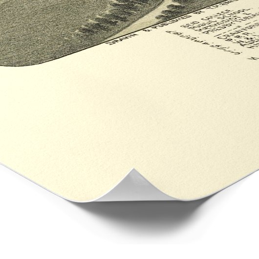 Scio, OH Panoramic Map - 1899a Poster (Hoek)