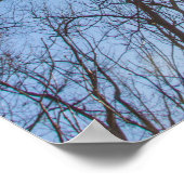 Scioto Grove Metro Park, Grove City, Ohio Poster (Hoek)