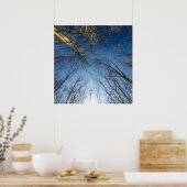 Scioto Grove Metro Park, Grove City, Ohio Poster (Keuken)