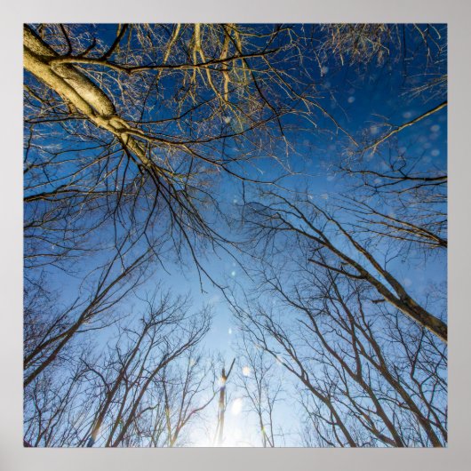 Scioto Grove Metro Park, Grove City, Ohio Poster (Voorkant)