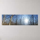 Scioto Grove Metro Park, Grove City, Ohio Poster (Voorkant)