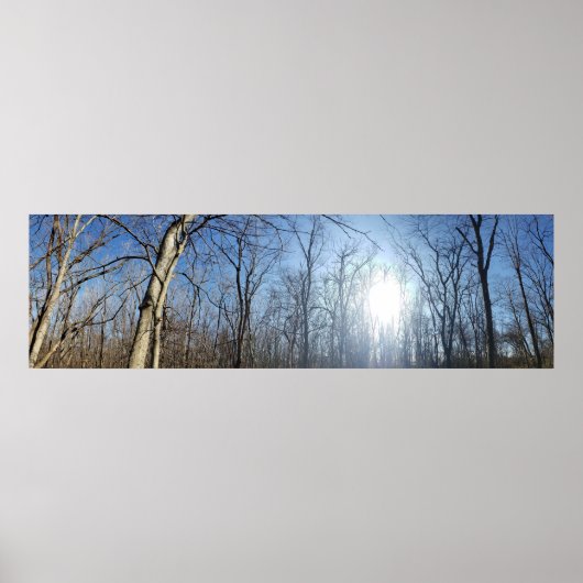 Scioto Grove Metro Park, Grove City, Ohio Poster (Voorkant)