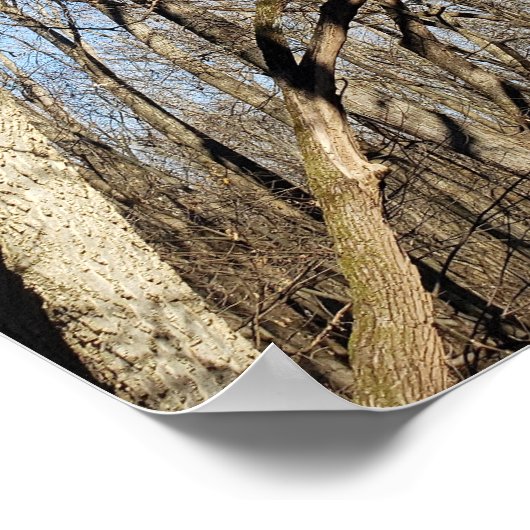 Scioto Grove Metro Park, Grove City, Ohio Poster (Hoek)