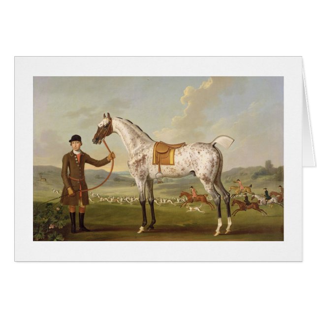 Scipio, Colonel Roche's Spotted Hunter, c.1750 (oi (Voorkant Horizontaal)