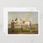 Scipio, Colonel Roche's Spotted Hunter, c.1750 (oi Briefkaart (Voorkant / Achterkant)