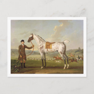 Scipio, Colonel Roche's Spotted Hunter, c.1750 (oi Briefkaart