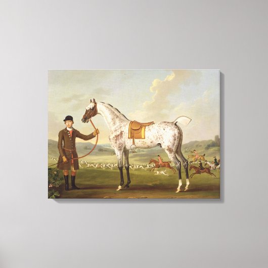Scipio, Colonel Roche's Spotted Hunter, c.1750 (oi Canvas Afdruk (Voorkant)