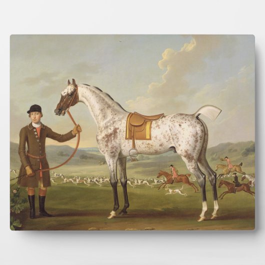 Scipio, Colonel Roche's Spotted Hunter, c.1750 (oi Fotoplaat (Voorkant)