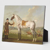 Scipio, Colonel Roche's Spotted Hunter, c.1750 (oi Fotoplaat (Zijkant)