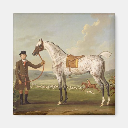 Scipio, Colonel Roche's Spotted Hunter, c.1750 (oi Magneet (Voorkant)