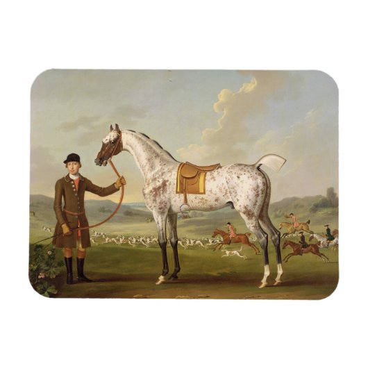 Scipio, Colonel Roche's Spotted Hunter, c.1750 (oi Magneet (Horizontaal)