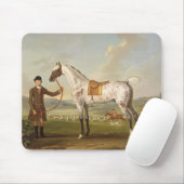 Scipio, Colonel Roche's Spotted Hunter, c.1750 (oi Muismat (Met muis)