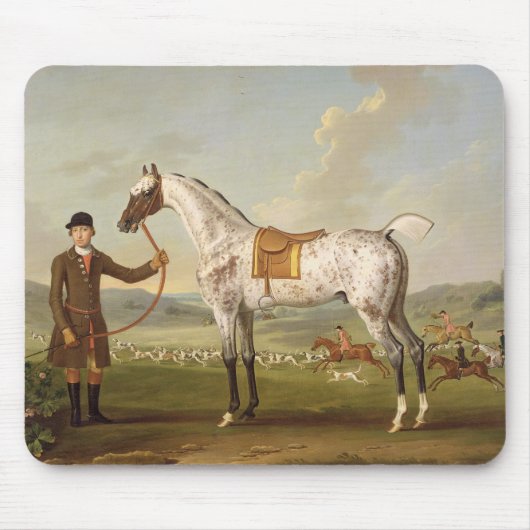 Scipio, Colonel Roche's Spotted Hunter, c.1750 (oi Muismat (Voorkant)