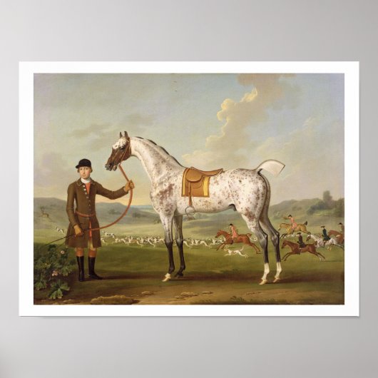 Scipio, Colonel Roche's Spotted Hunter, c.1750 (oi Poster (Voorkant)
