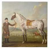 Scipio, Colonel Roche's Spotted Hunter, c.1750 (oi Tegeltje (Voorkant)
