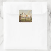 Scipio, Colonel Roche's Spotted Hunter, c.1750 (oi Vierkante Sticker (Tas)