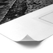 Scipion Poster (Hoek)