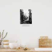 Scipion Poster (Keuken)