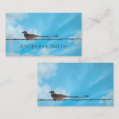 scissortail flycatcher bird natuur blue sky custom visitekaartje (Voorkant / Achterkant)