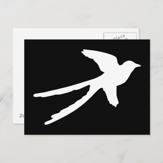 Scissortail Flycatcher Briefkaart (Voorkant / Achterkant)