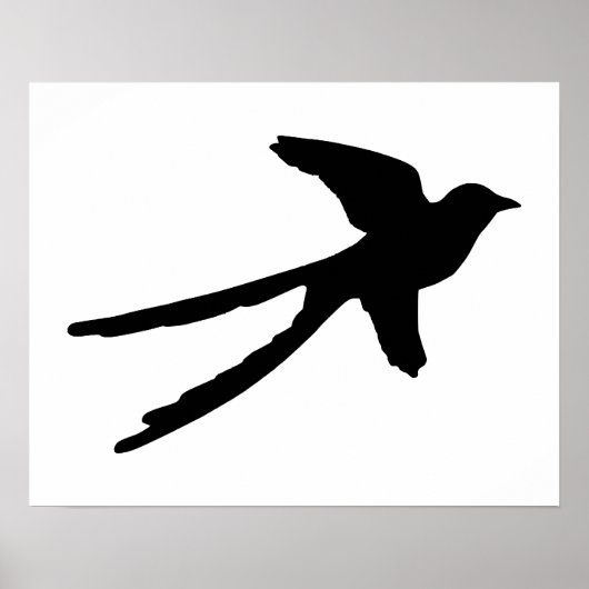 Scissortail Flycatcher Poster (Voorkant)