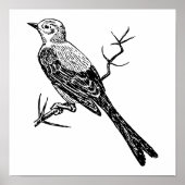 Scissortail Realistic Bird Sketch Poster (Voorkant)