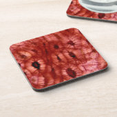 Sclerenchyma-cellen uit een Cherry Pit Bier Onderzetter (Linkerzijde)